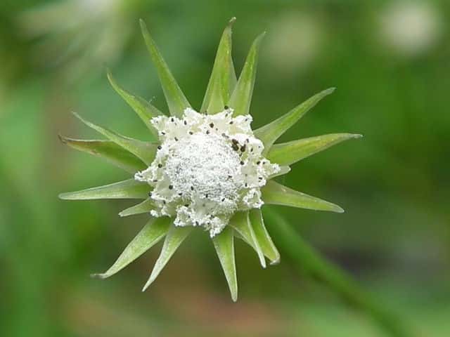 �C�k�m�q�Q