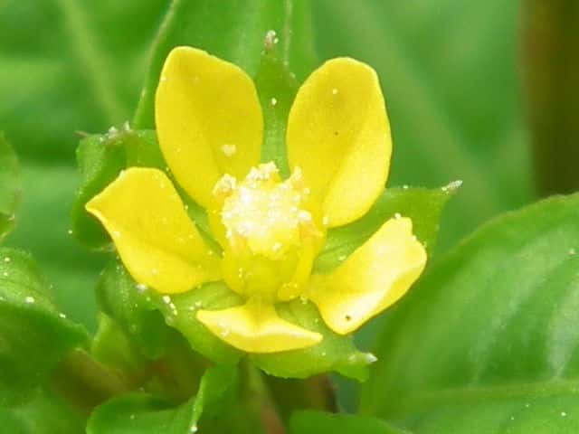 �`���E�W�^�f