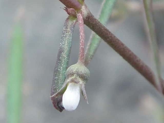 �i�K�G�t�^�o���O��