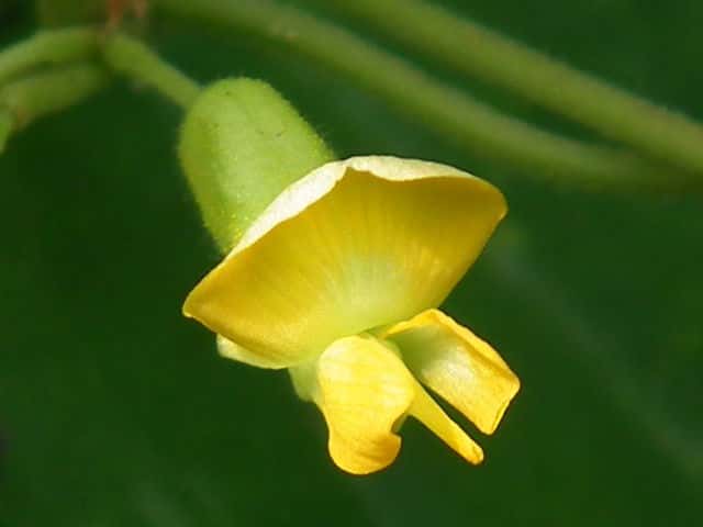 �g�L���}��