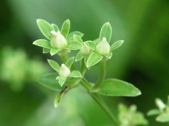 �A�P�{�m�\�E�Q