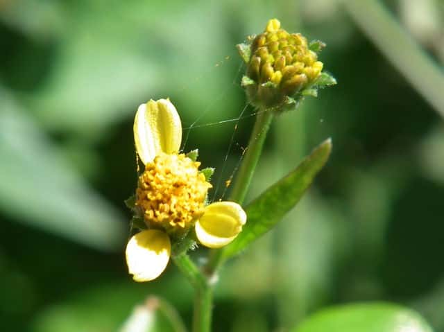 �Z���_���O�T