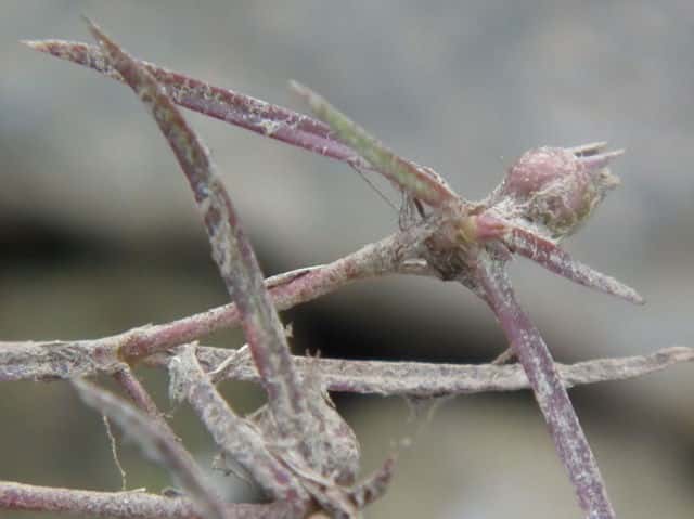 �i�K�G�t�^�o���O��