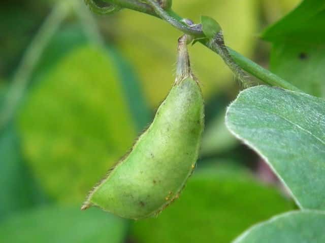 ���u�}���ʎ�