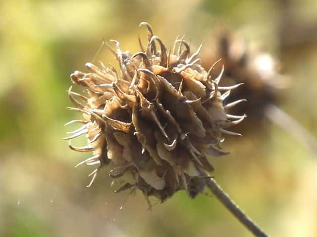 �n�l�~�M�N�ʎ�