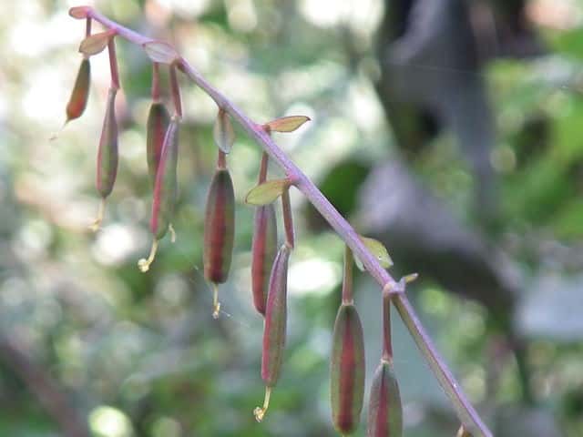 �i�K�~�m�c���P�}���ʎ�