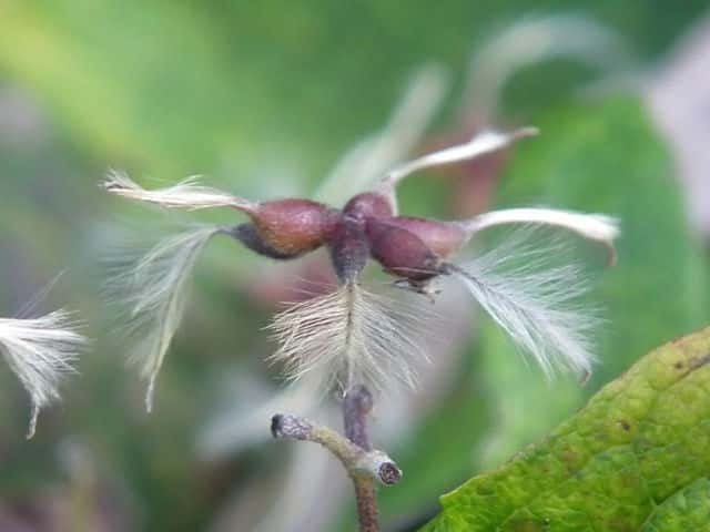 �{�^���d���ʎ�