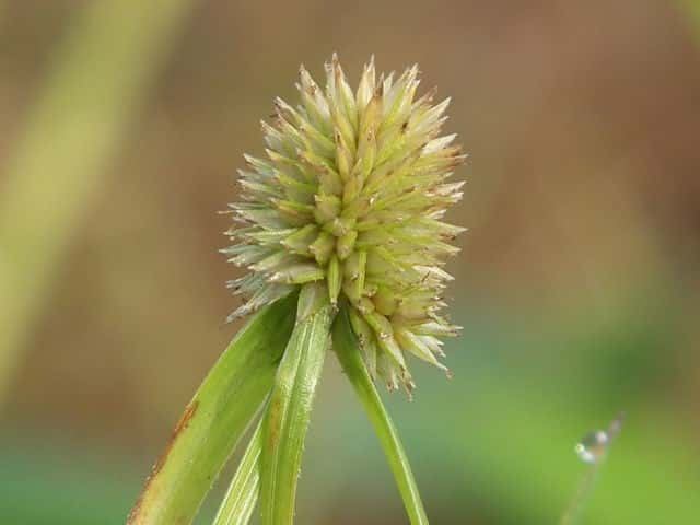 �A�C�_�N�O�ʎ�