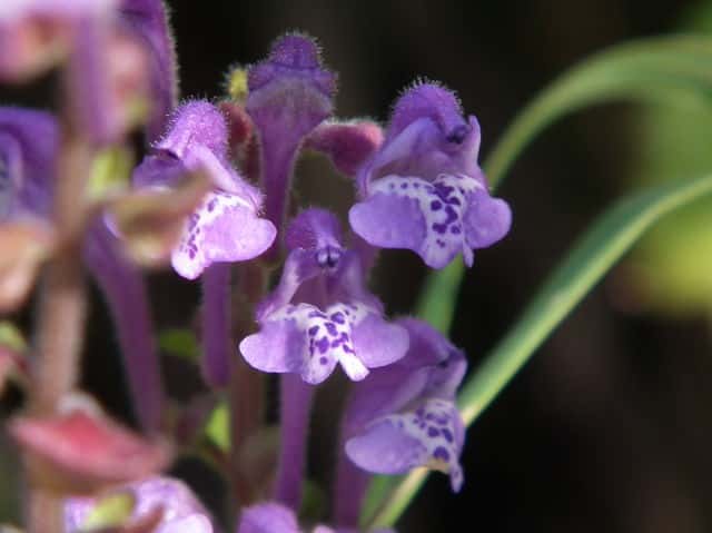 �^�c�i�~�\�E