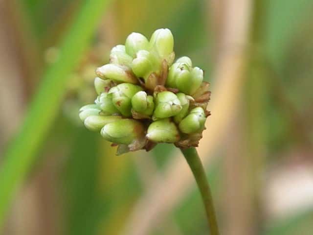 �E�i�M�c�J�~�ʎ�