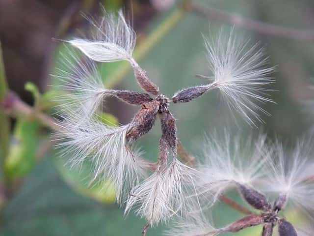 �{�^���d���ʎ�