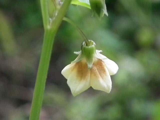 �q���n�t�E�����z�I�Y�L