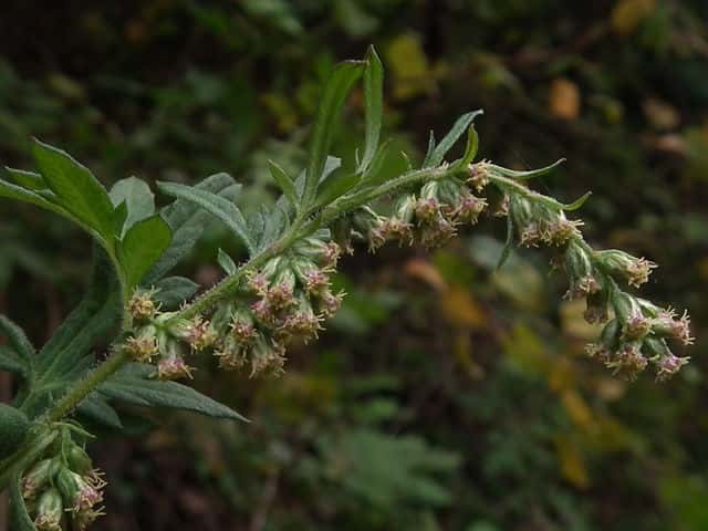 �����M��No.1