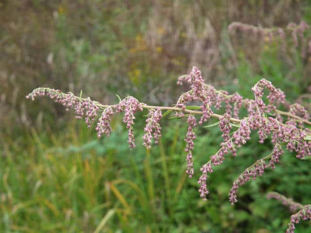 �����M��No.3