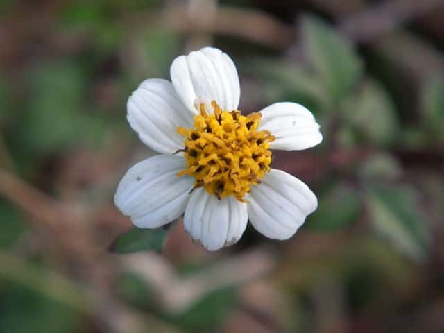 �R�V���m�Z���_���O�T