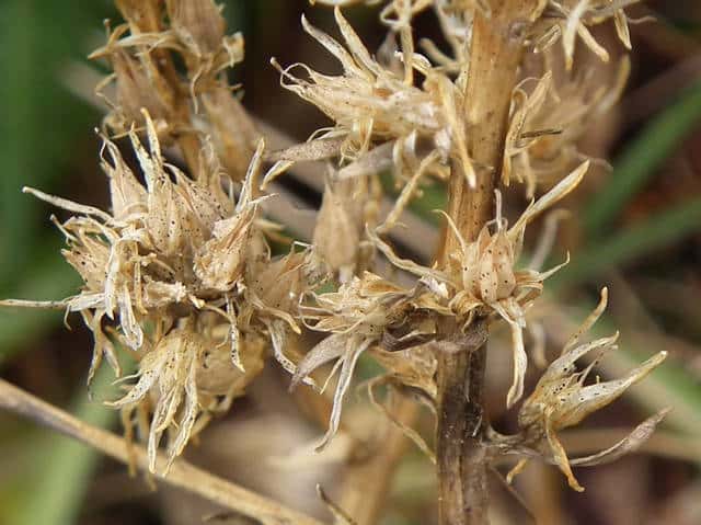 �m�M�����ʎ�