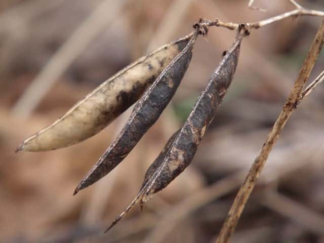 �i���e���n�M�ʎ�