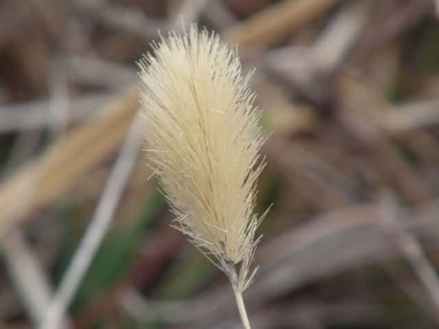 �n�}�G�m�R���ʎ�