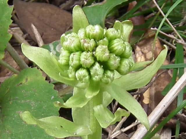 �t�L�m�g�E