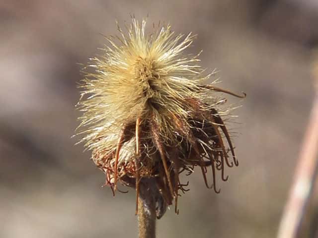 �_�C�R���\�E�ʎ�