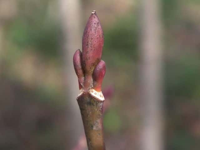 �E���n�_�J�G�f�~��