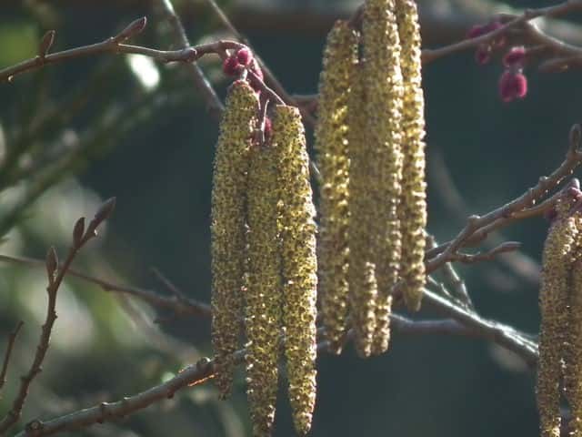 �P���}�n���m�L