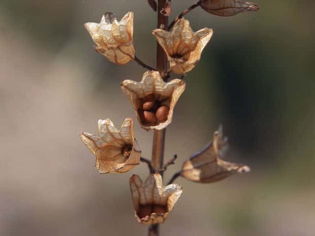 �A�L�`���E�W