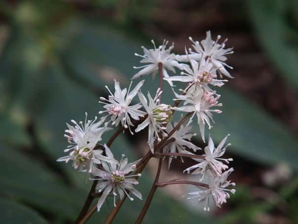 �Z���o�I�E����