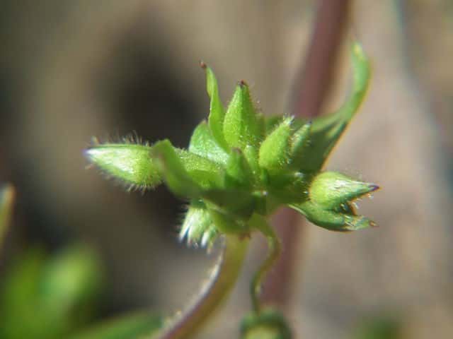 �C�k�R�n�R�x