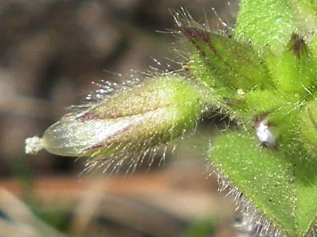 �I�����_�~�~�i�O�T