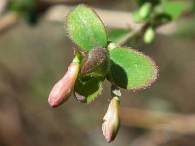 �E�O�C�X�J�O��