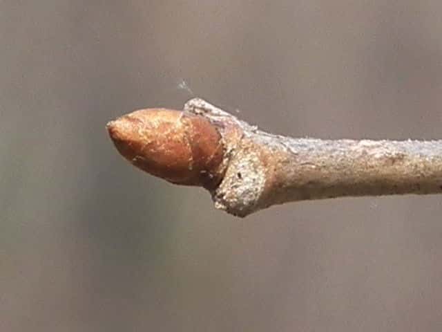 �^���i�T���t�^�M