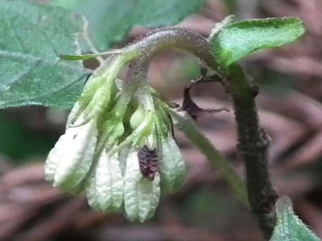 �T�c�}�C�i����