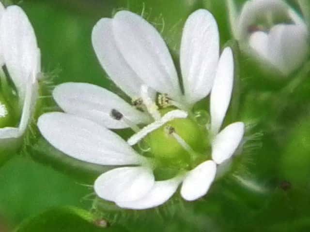 �~�h���n�R�x