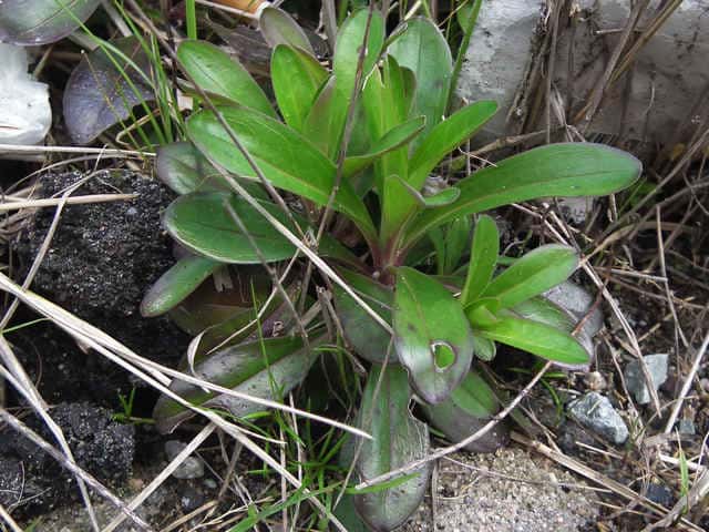 �n�}�i�f�V�R