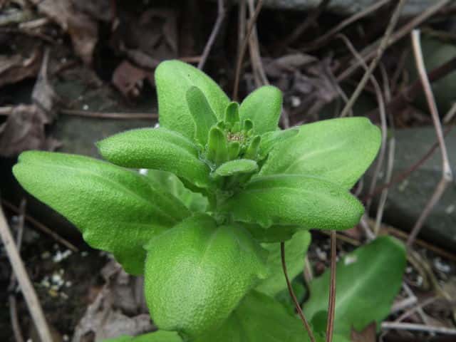 �n�}�n�^�U�I