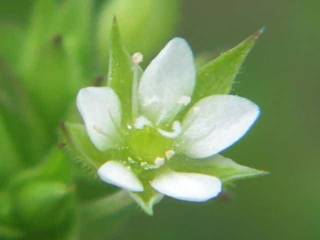 �l�o���m�~�m�c�d��