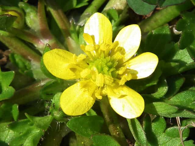 �g�Q�~�m�L�c�l�m�{�^��