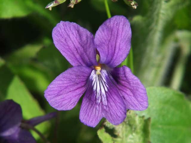 �m�W�X�~��