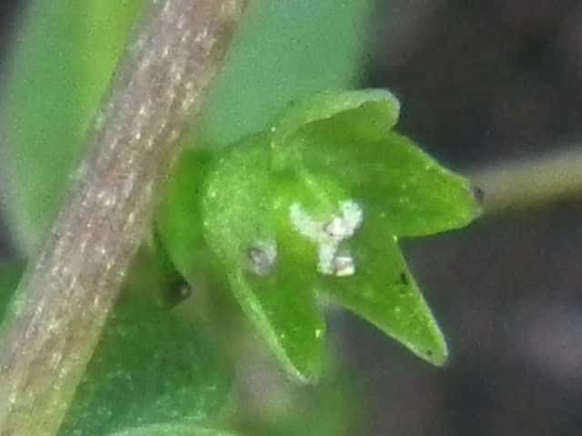 �C�k�R�n�R�x