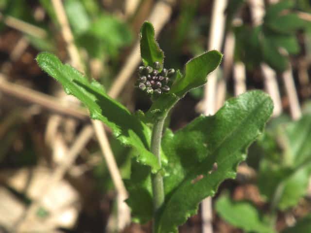 ���}�n�^�U�I