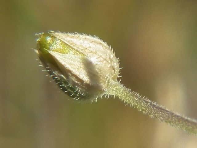 �l�o���m�~�m�c�d��