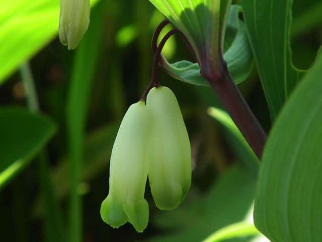 �A�}�h�R��