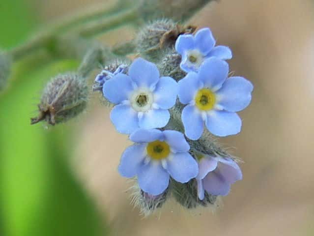 �m�n�������T�L