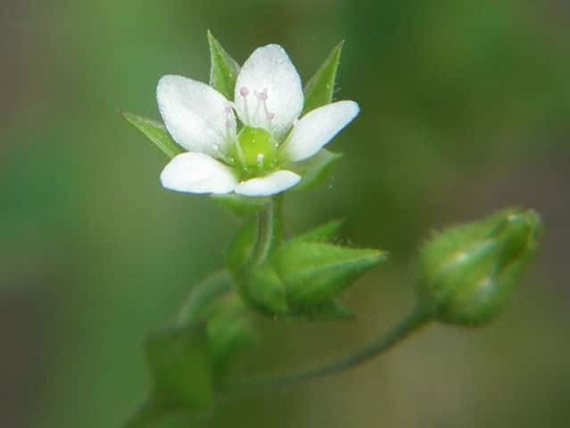 �l�o���m�~�m�c�d��