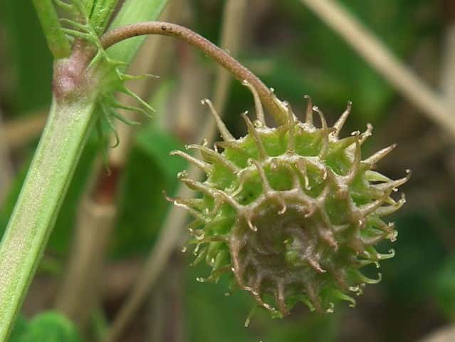 �E�}�S���V