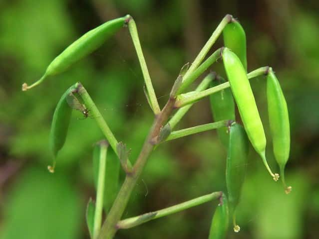 �����T�L�P�}��