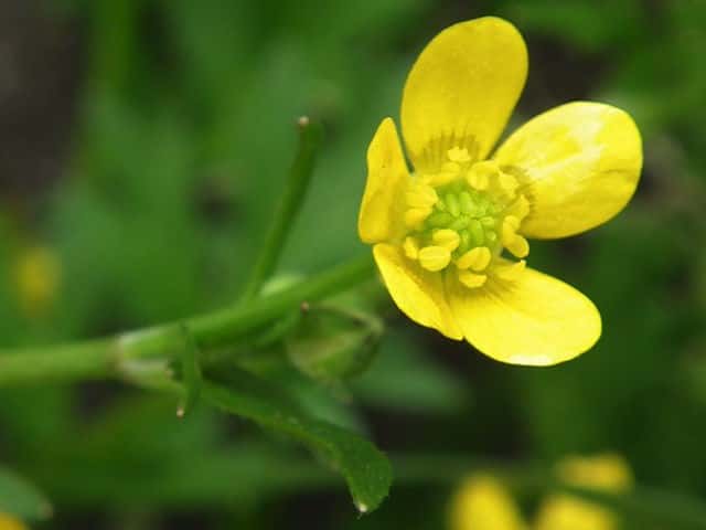 �C�{�~�L���|�E�Q