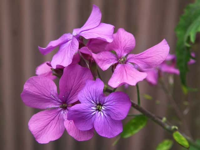 �S�E�_�\�E