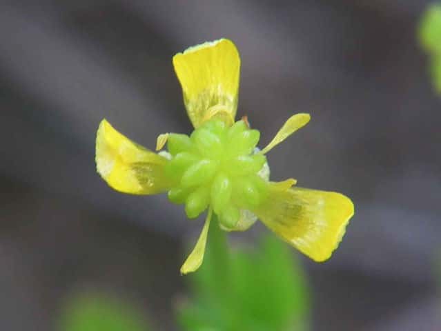 �C�{�~�L���|�E�Q